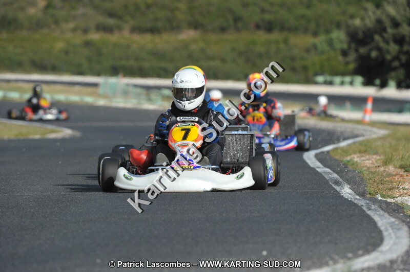 DSC (3987).JPG